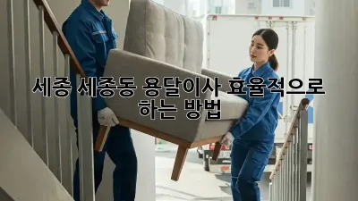 세종 세종동 용달이사, 효율적으로 하는 방법!